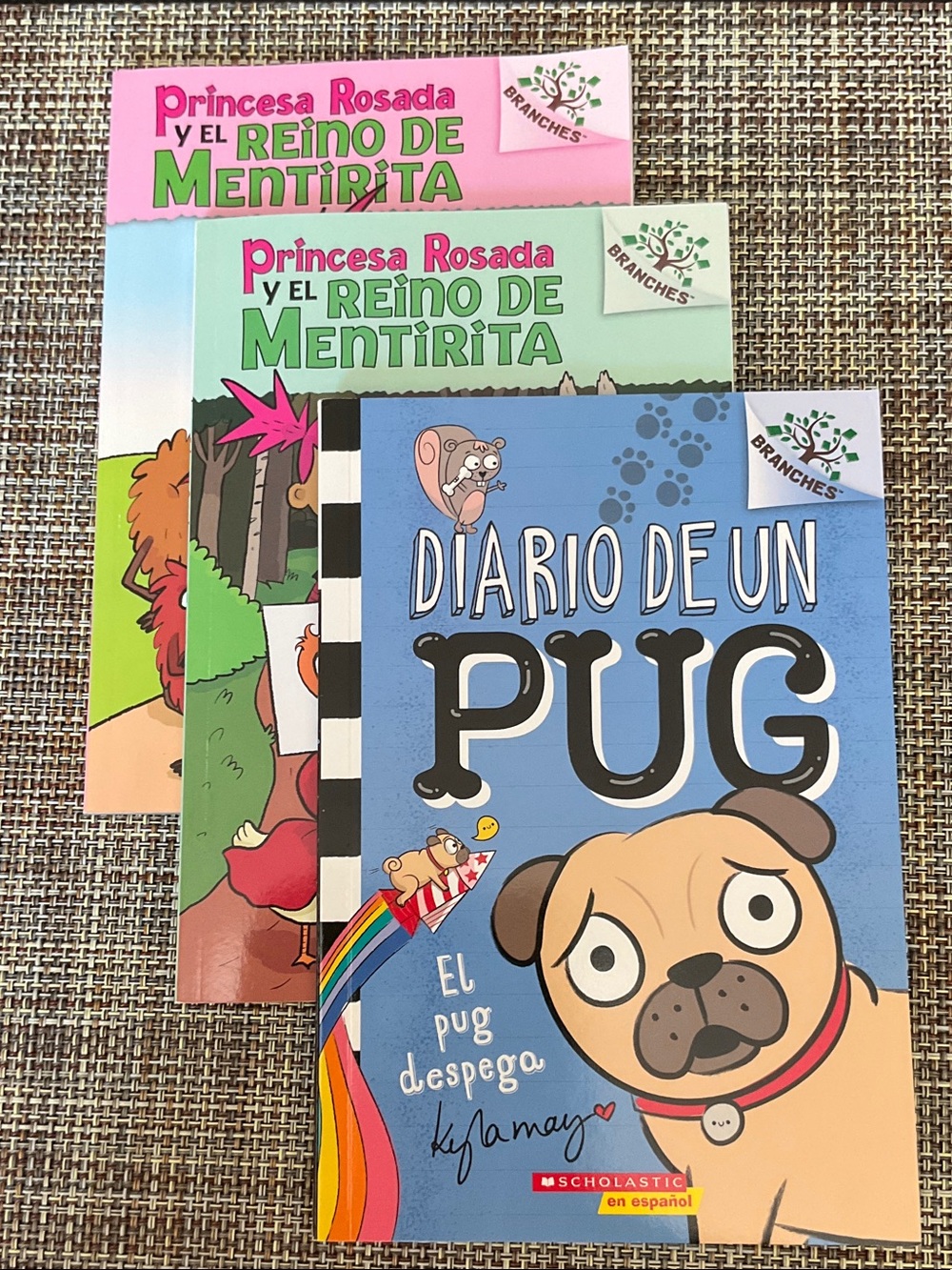 3 kids books in Spanish, NWT